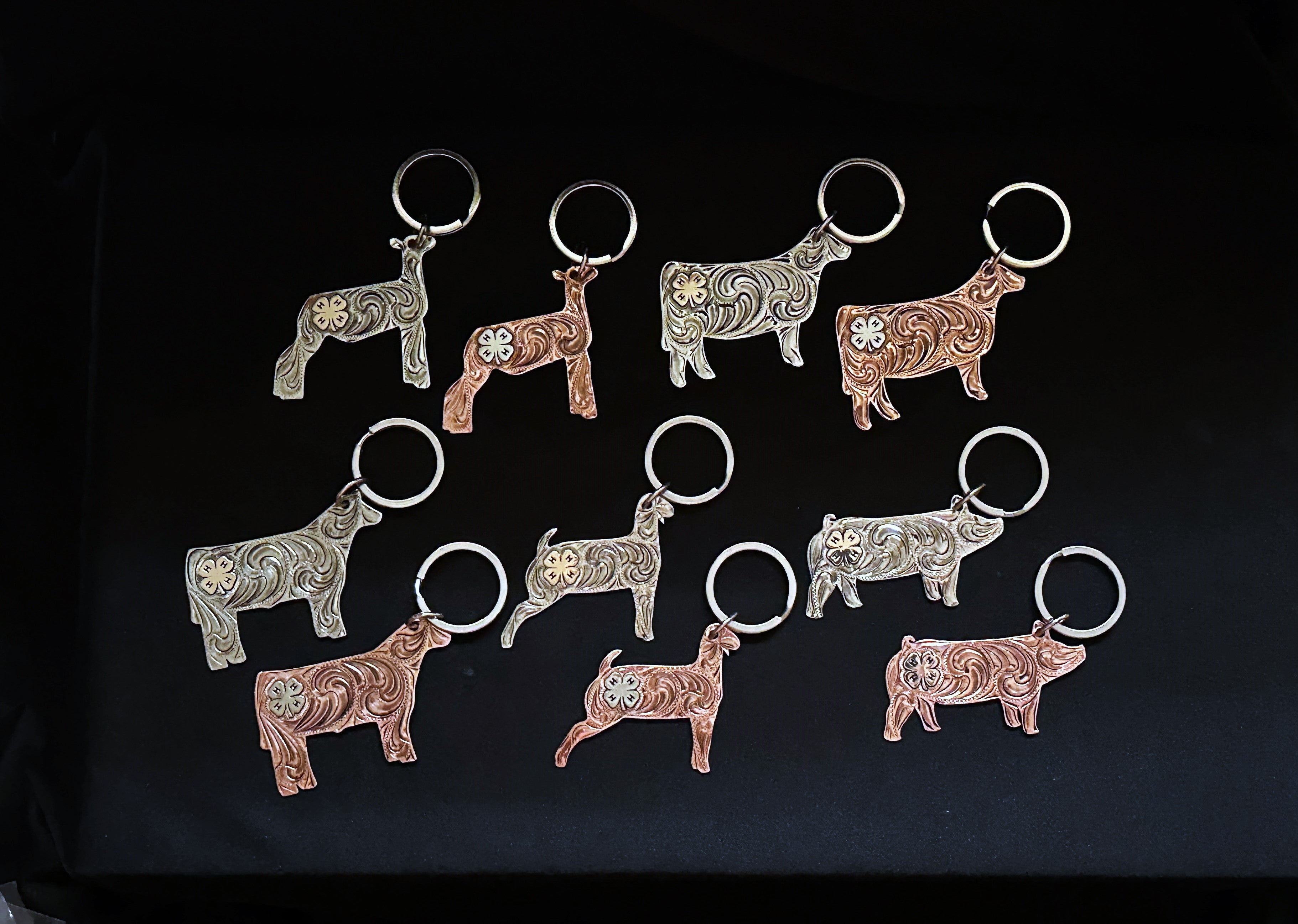 4H KC-ANIMALS