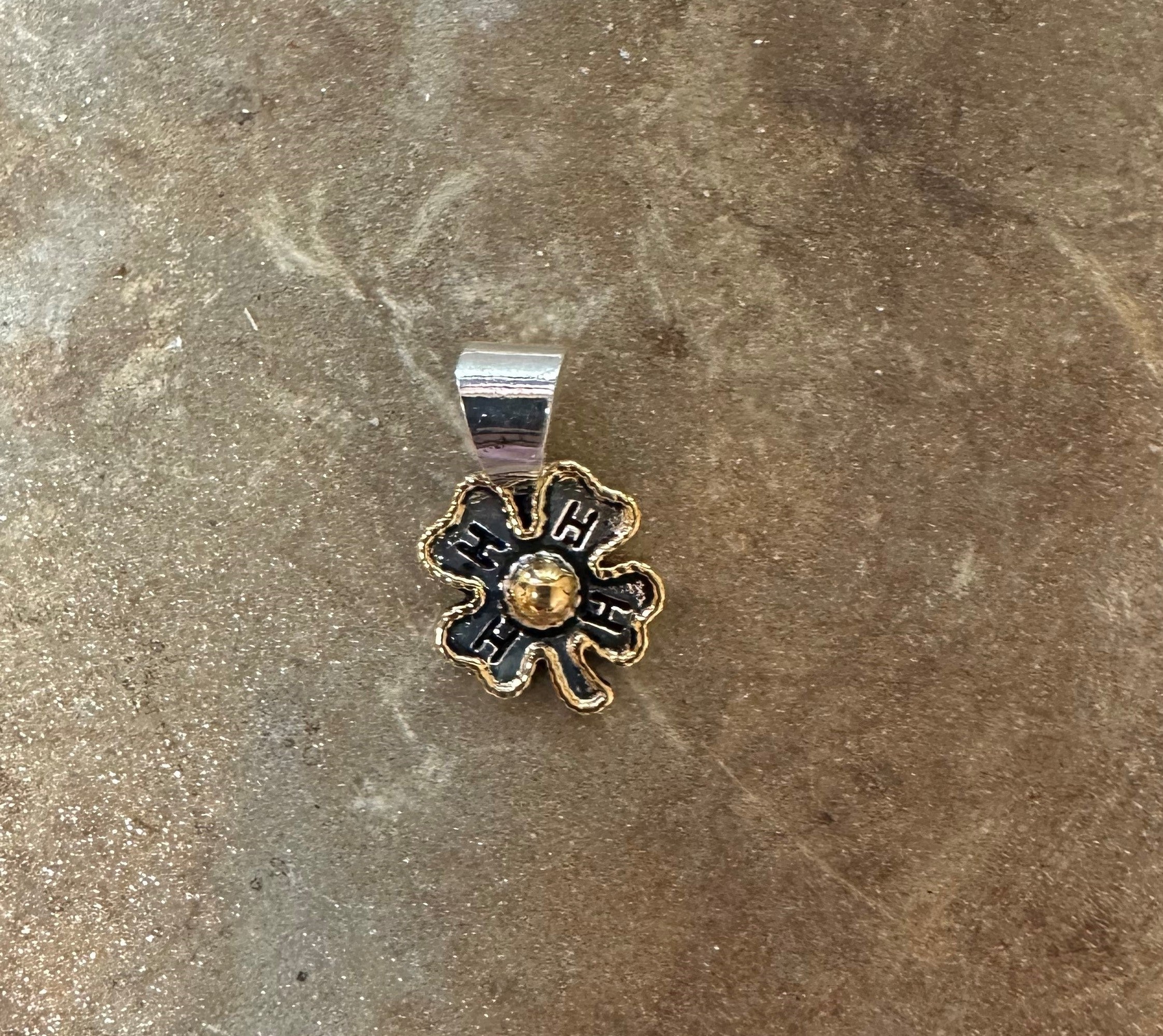 4H PN-CLOVER