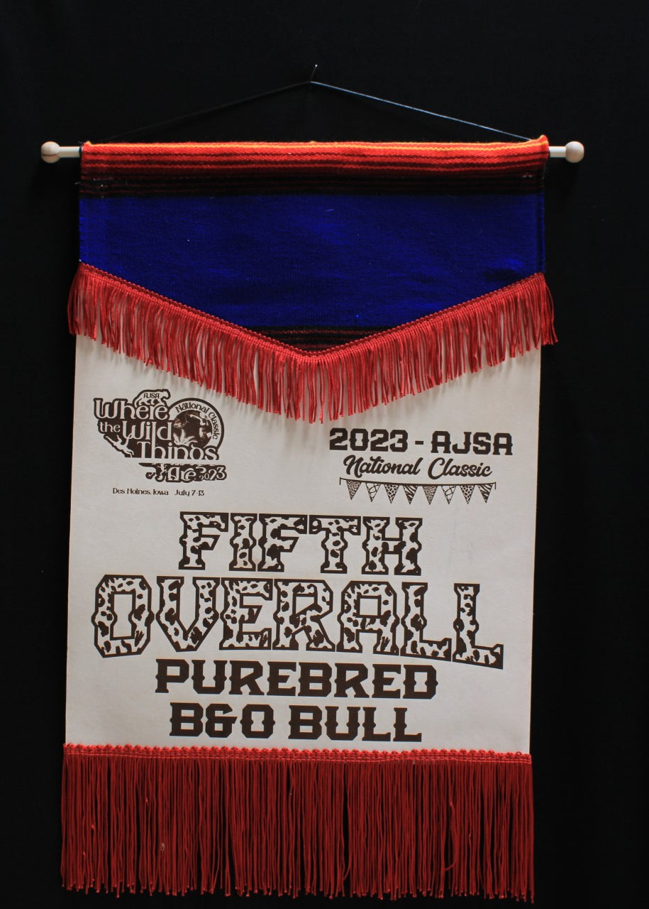 SERAPE RAWHIDE COMBO BANNER