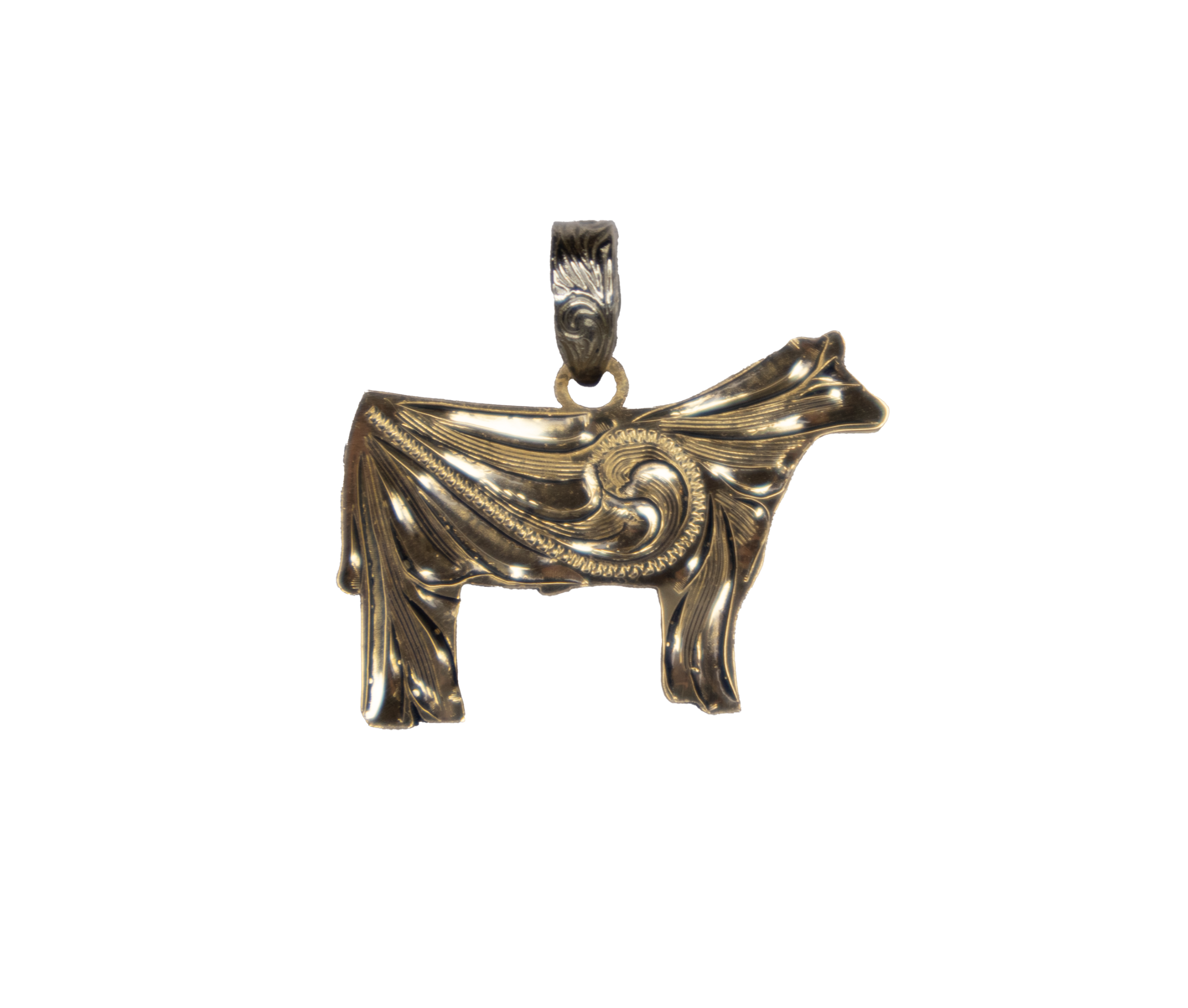 PN-STEER